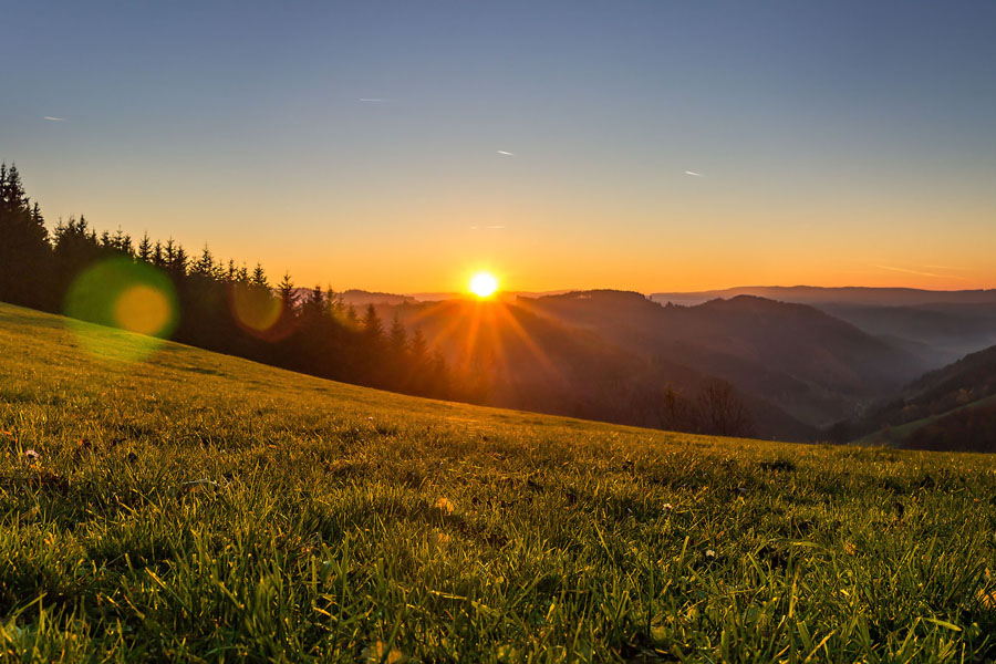 Natur und Sport Hotel Zuflucht im Schwarzwald