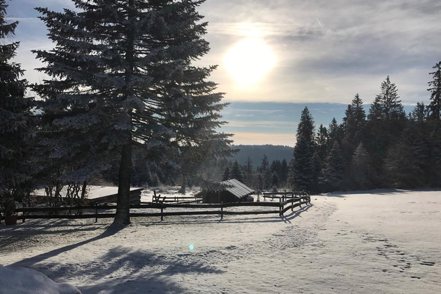 Natur und Sport Hotel Zuflucht im Schwarzwald