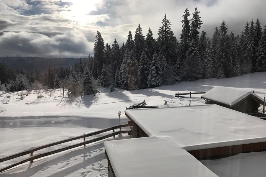 Natur und Sport Hotel Zuflucht im Schwarzwald