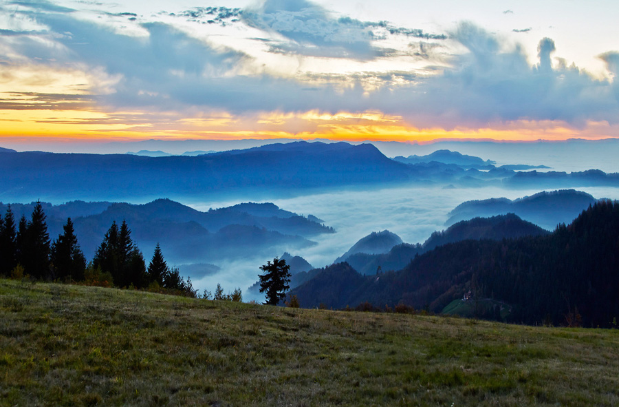 Natur und Sport Hotel Zuflucht im Schwarzwald